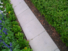 thumbs/dscn2235.png